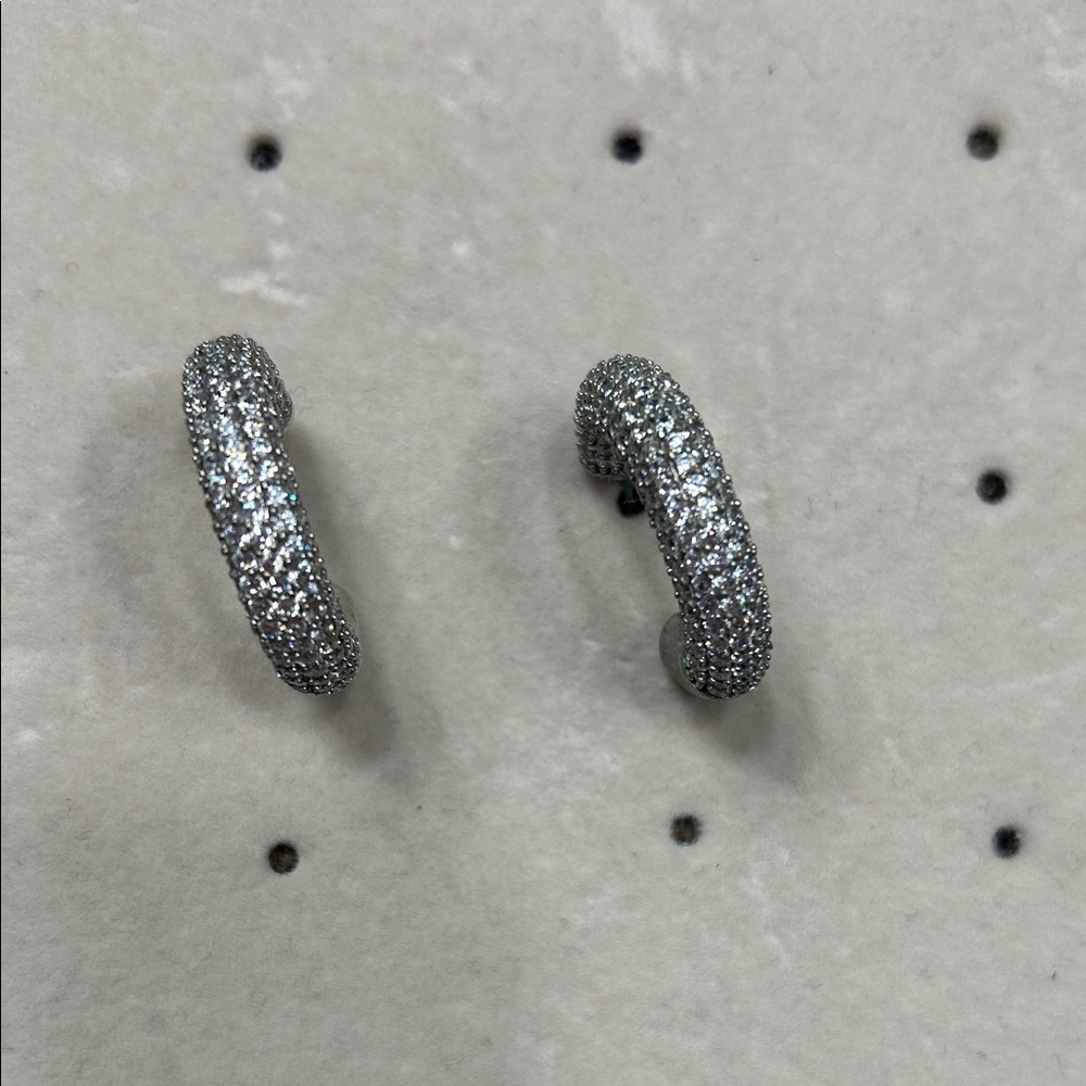 Elegant Silver Hoop Earrings